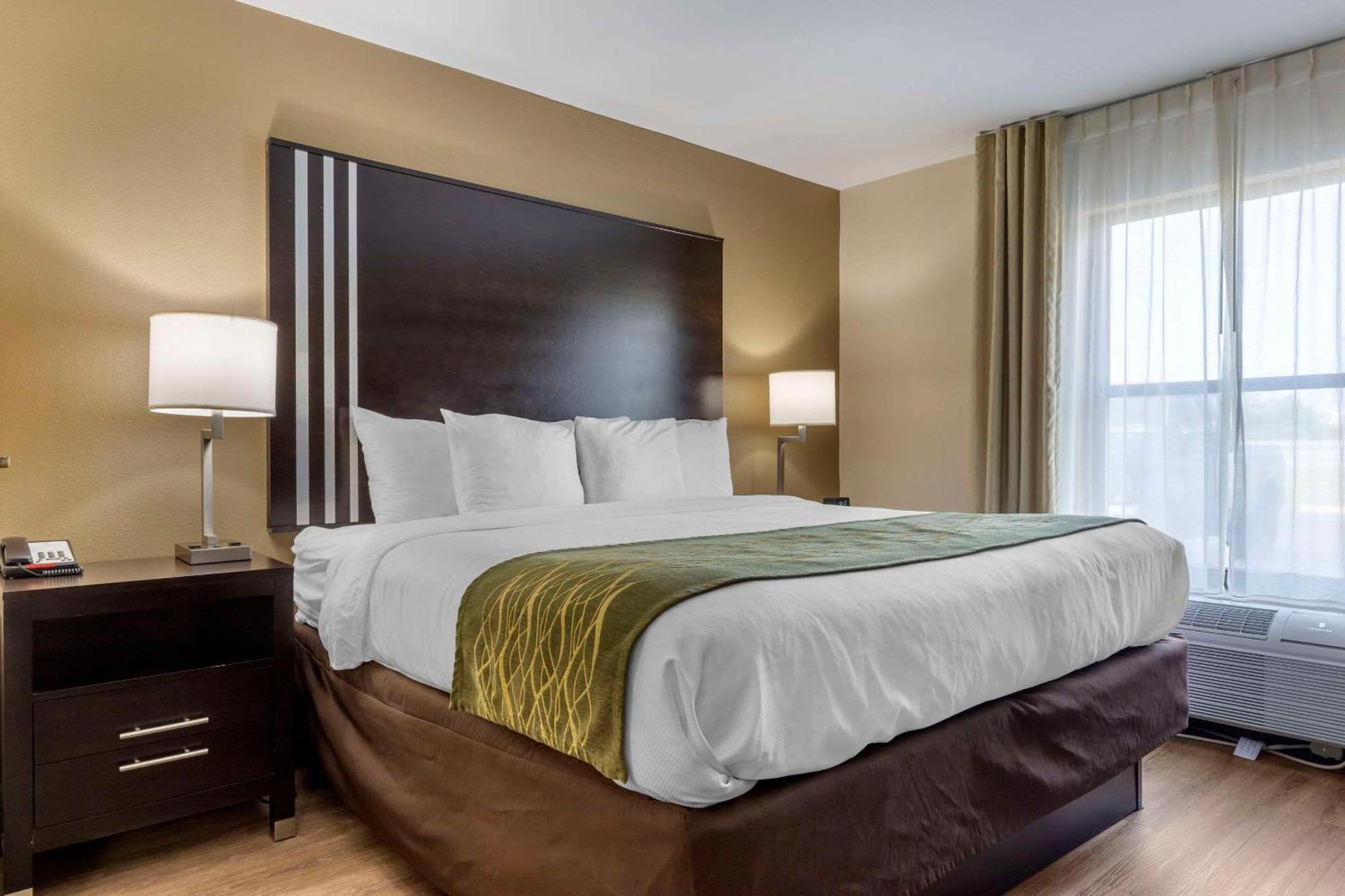 Comfort Inn Near Downtown & Blue Ridge Pkwy Marion Esterno foto