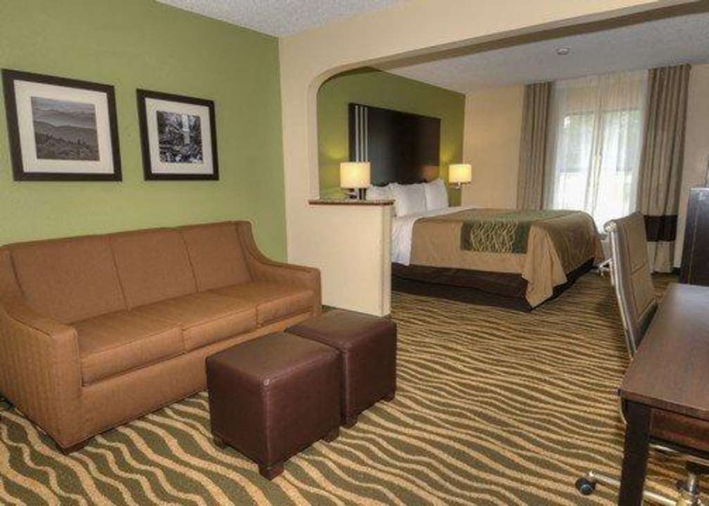 Comfort Inn Near Downtown & Blue Ridge Pkwy Marion Camera foto